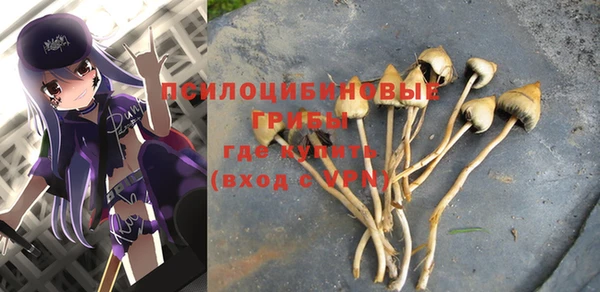 кокс Арсеньев
