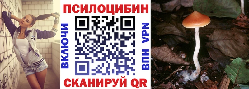 Купить  Сурск  Псилоцибиновые грибы мицелий 
